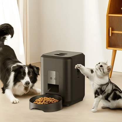 Automatic Dispenser - Petspenser