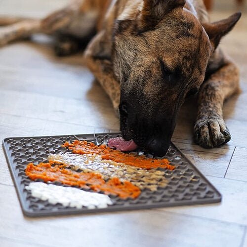 Lick Mat - Petspenser